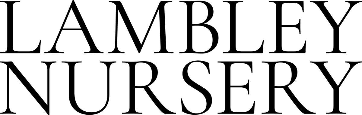 Lambley Nursery logo