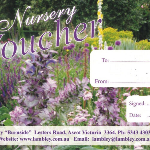 Gift Vouchers