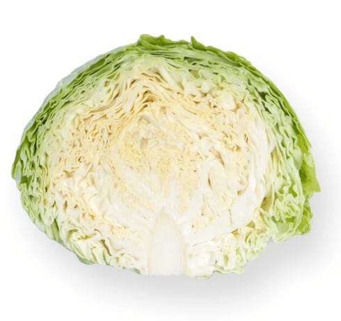 Alternative view of Cabbage Savoy 'Estrema' F1 (Brassica oleracea)