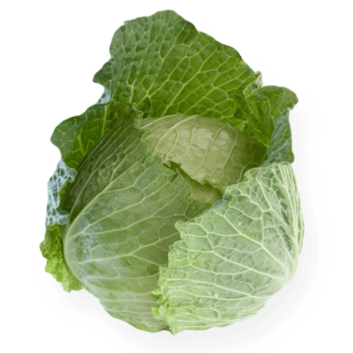 Cabbage Savoy 'Estrema' F1 (Brassica oleracea)