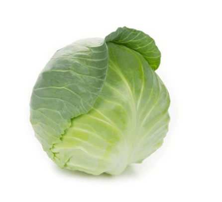 Cabbage 'Swingma' F1 (Brassica oleracea)
